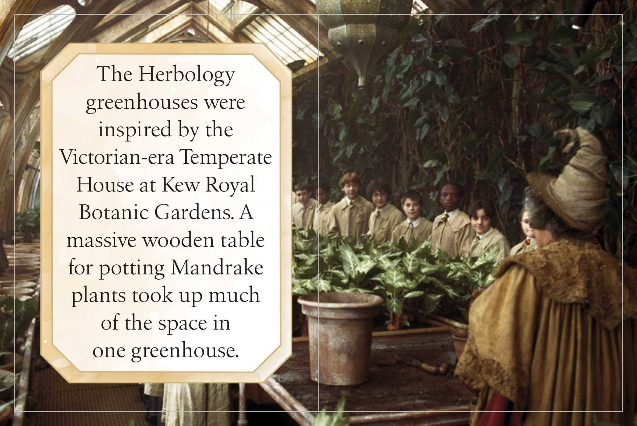 Harry Potter: Hogwarts – Miniaturebog