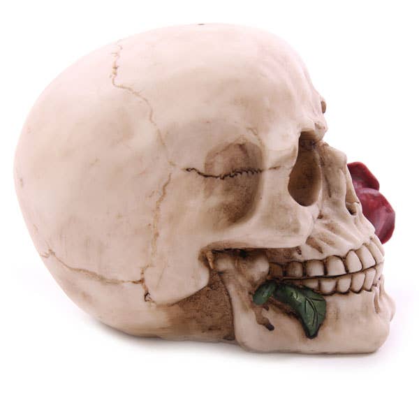 Skull med Roser