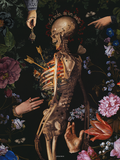 La Vida Es Un Sueño - A4 Plakat