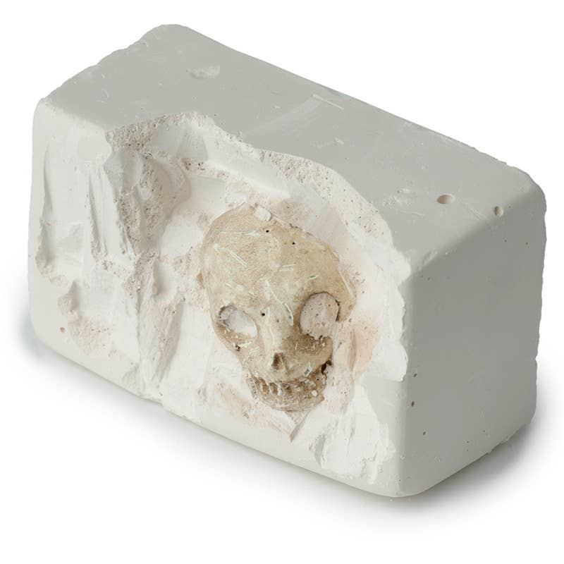 Kranie Udgravningssæt – Dig-A-Saurs – Puckator | Skulls&Bones