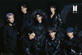 BTS plakat Sorte Vinger
