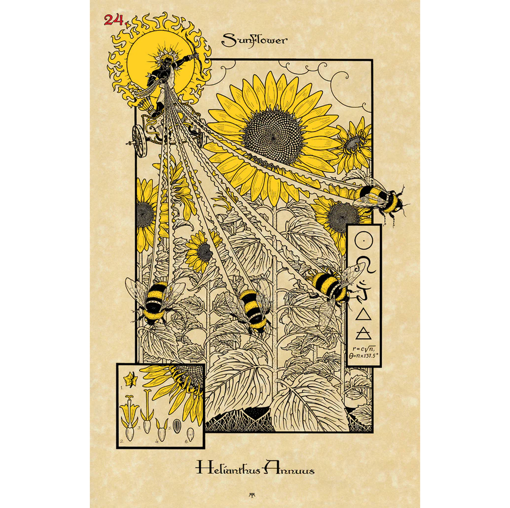 Magickal Botanical Oracle – De magiske botaniske orakelkort