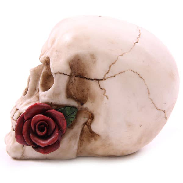 Skull med Roser
