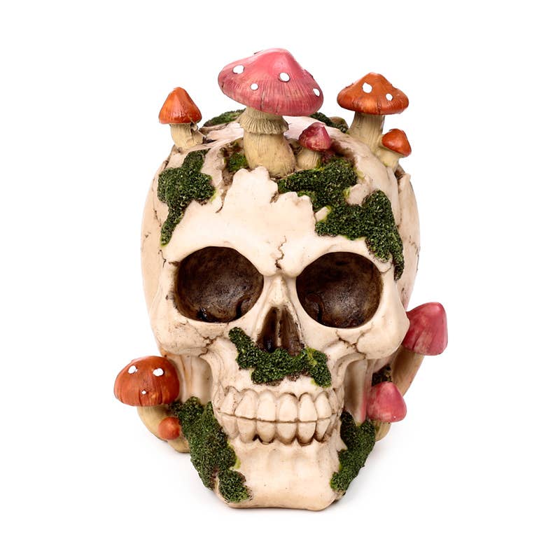 Skull med Paddehatte og Mos