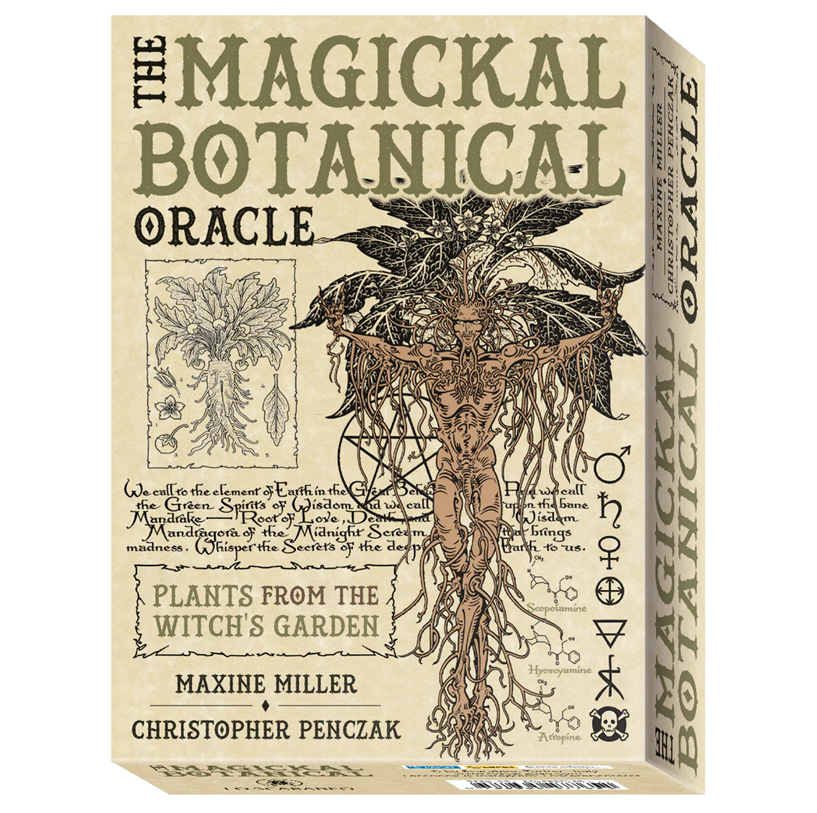 Magickal Botanical Oracle – De magiske botaniske orakelkort