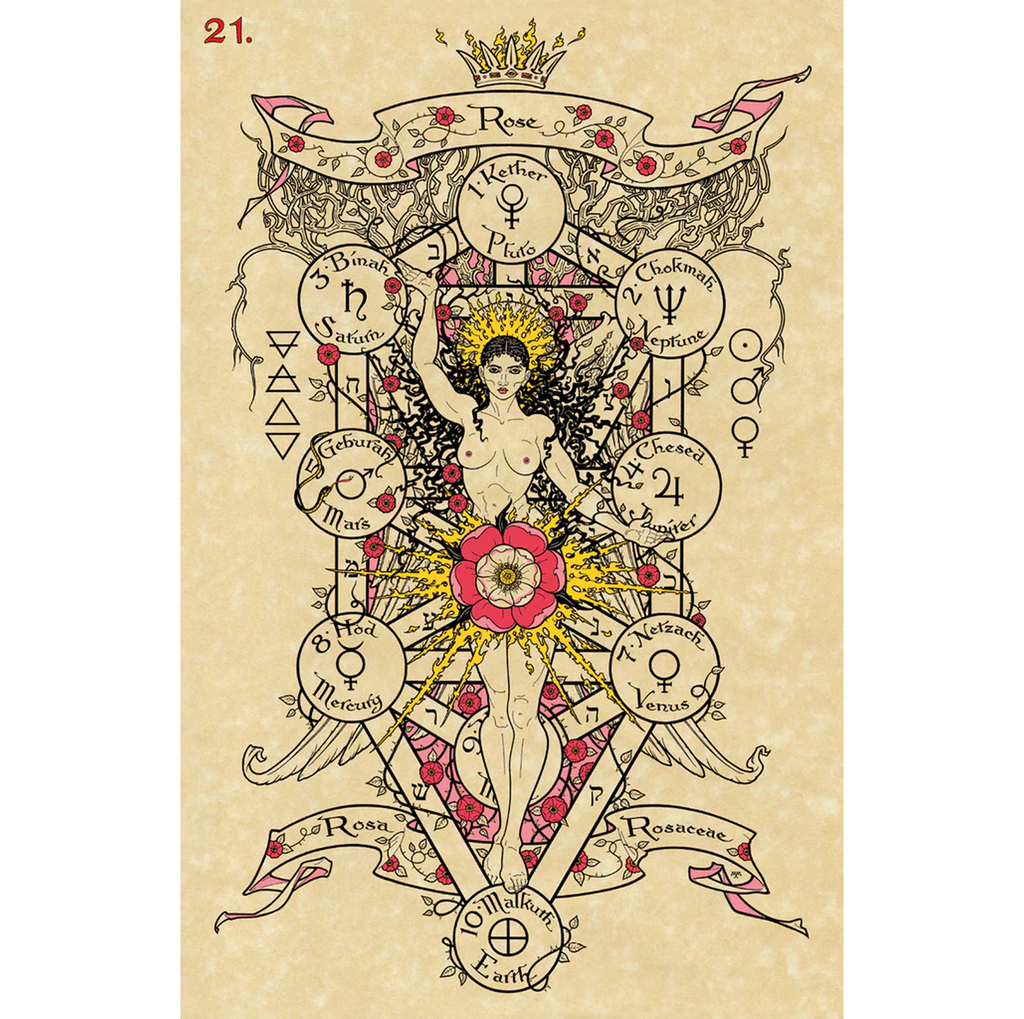 Magickal Botanical Oracle – De magiske botaniske orakelkort