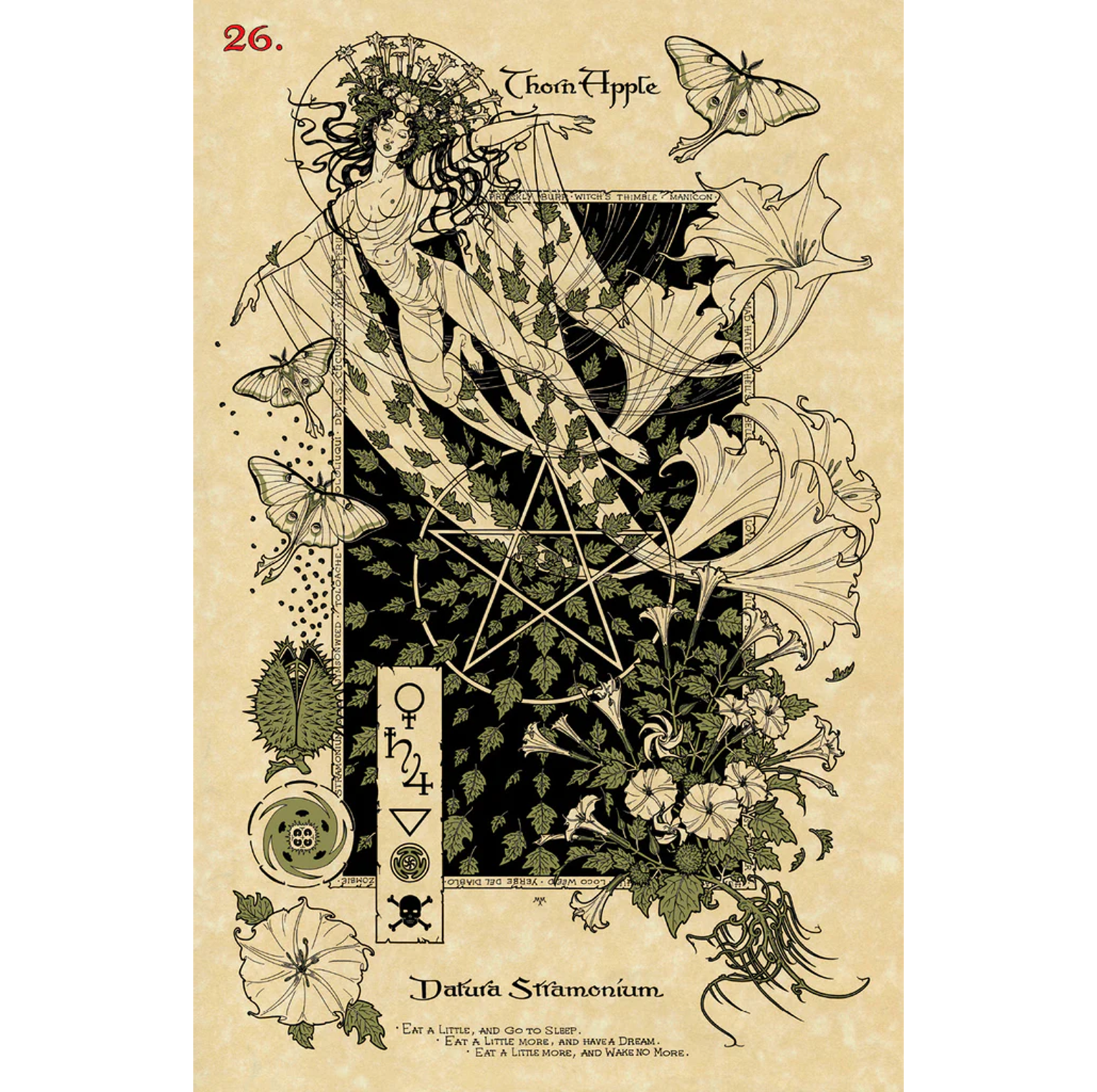 Magickal Botanical Oracle – De magiske botaniske orakelkort