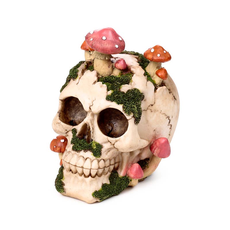 Skull med Paddehatte og Mos