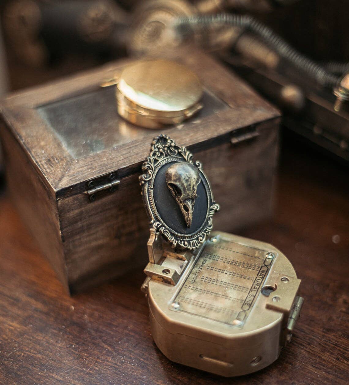 Bronze Ravnekranie Broche med Camée – Gotisk Victoriansk