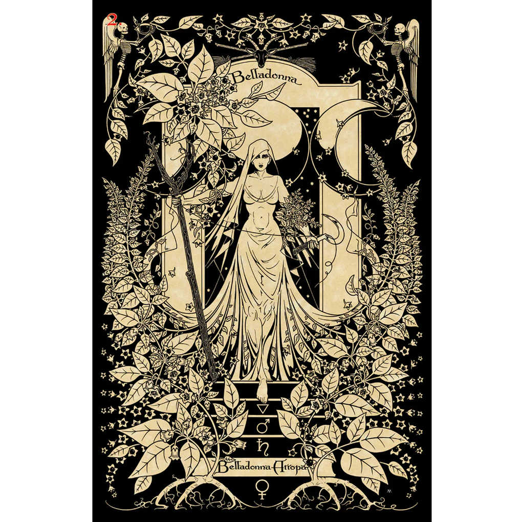 Magickal Botanical Oracle – De magiske botaniske orakelkort