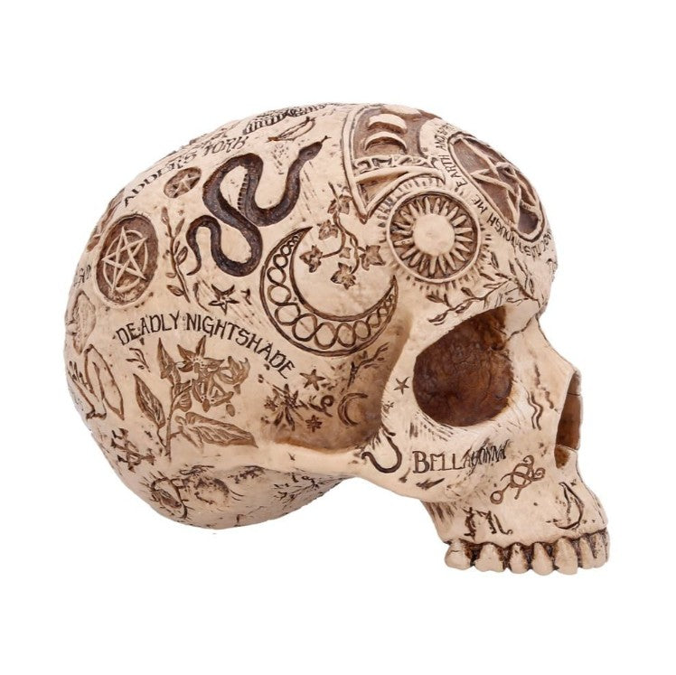 Nemesis Now – Apotekerkranie Figur 14 cm | Skulls&Bones