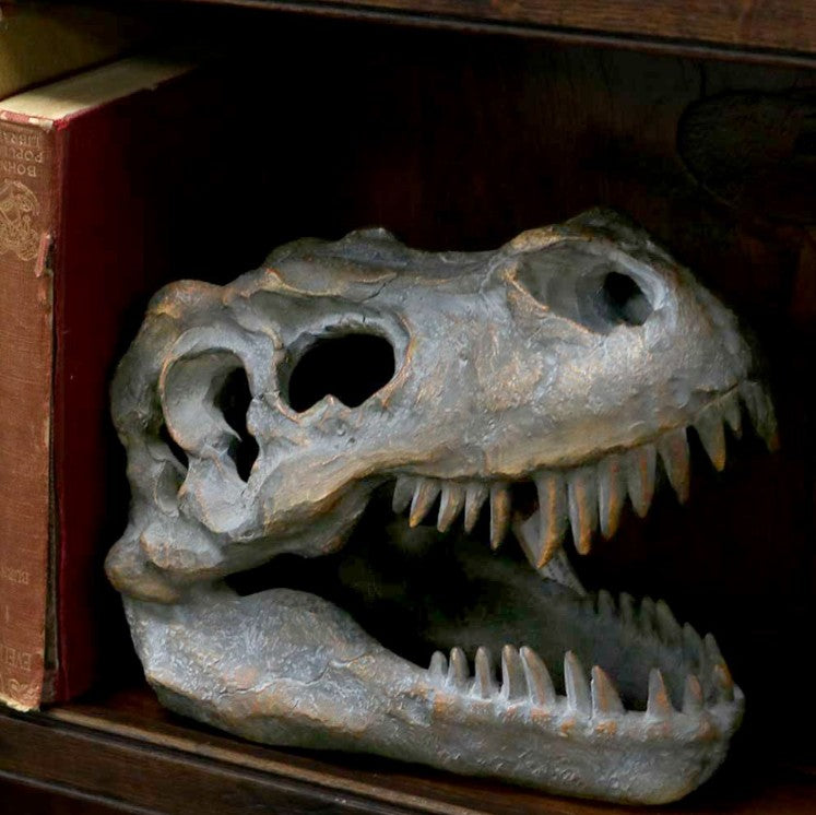 Nemesis Now – Tyrannosaurus Rex Kranie Figur 16 cm | Skulls&Bones