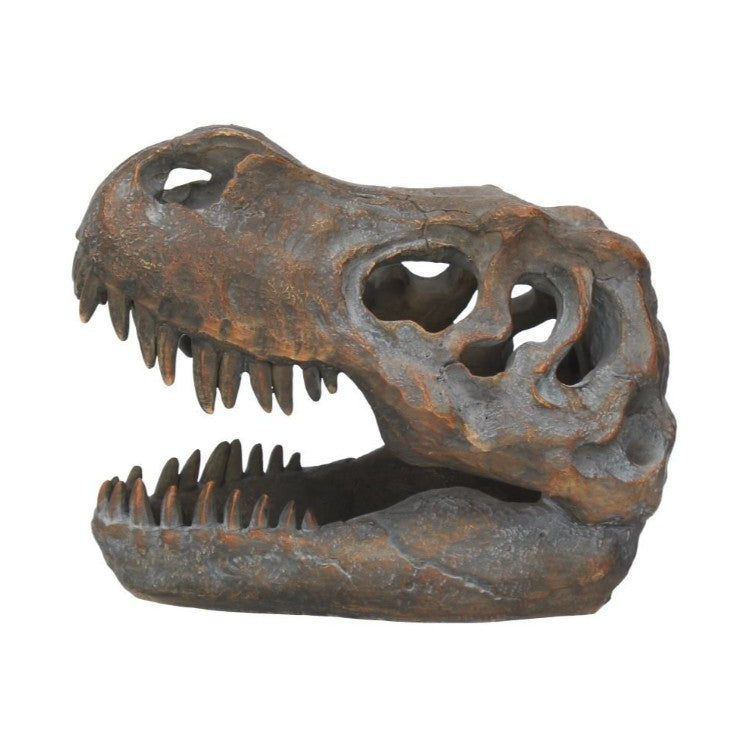 Nemesis Now – Tyrannosaurus Rex Kranie Figur 16 cm | Skulls&Bones