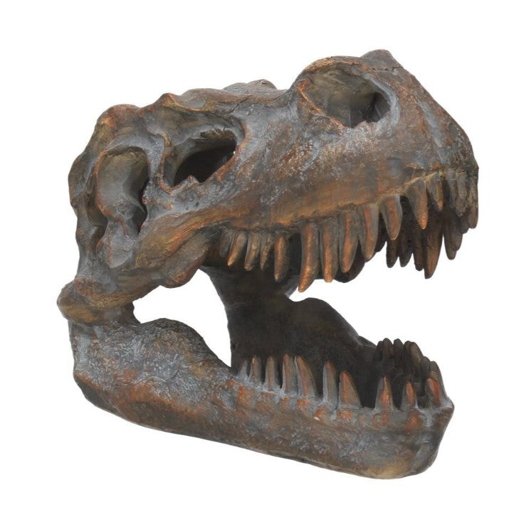 Nemesis Now – Tyrannosaurus Rex Kranie Figur 16 cm | Skulls&Bones
