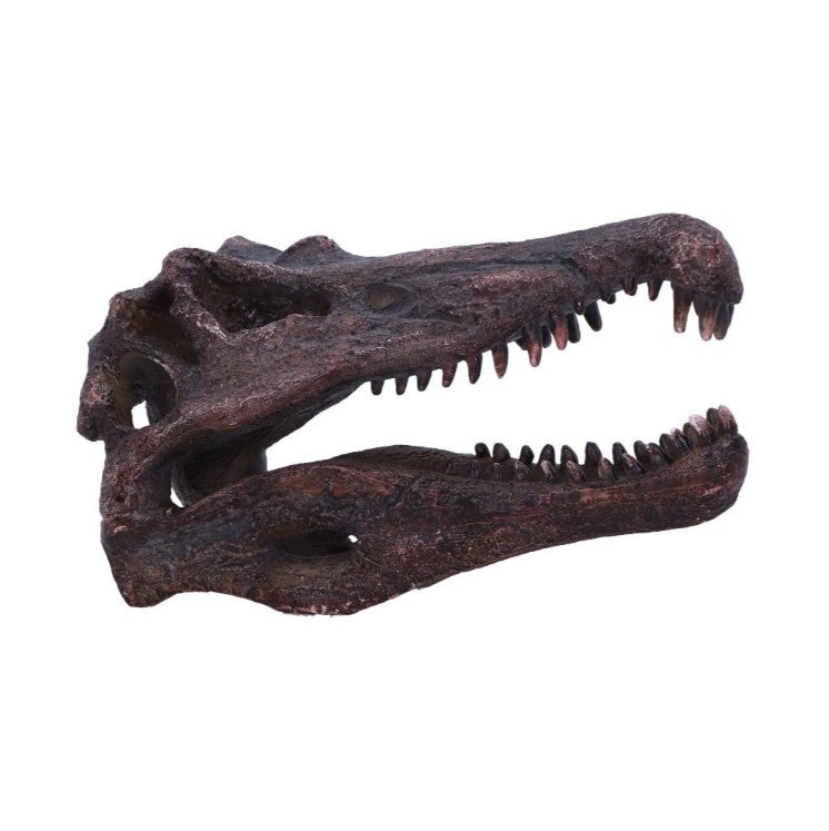 Nemesis Now – Spinosaurus Kranie Replika 16 cm | Skulls&Bones