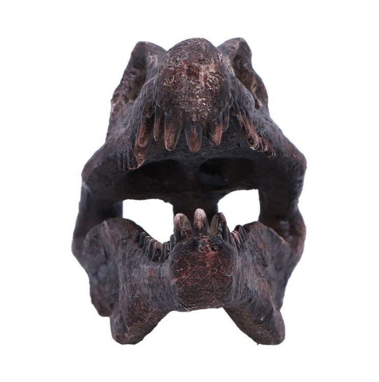 Nemesis Now – Spinosaurus Kranie Replika 16 cm | Skulls&Bones
