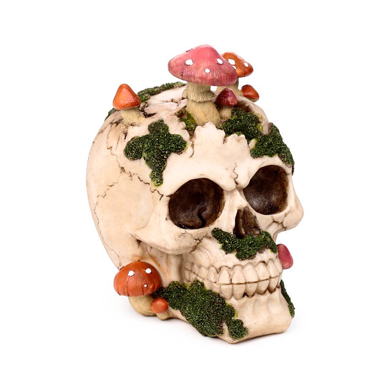 Skull med Paddehatte og Mos