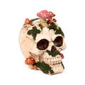 Skull med Paddehatte og Mos