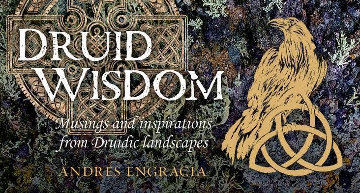 Druid Wisdom Inspirationskort – Rockpool