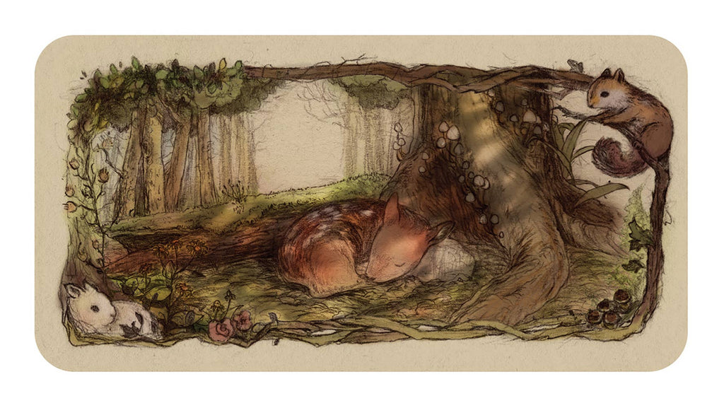 Whispering Woods Affirmation Cards fra U.S. Games Systems
