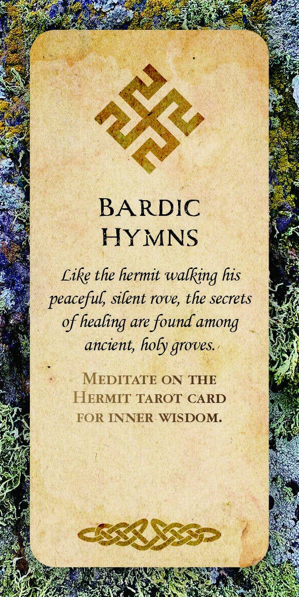 Druid Wisdom Inspirationskort – Rockpool