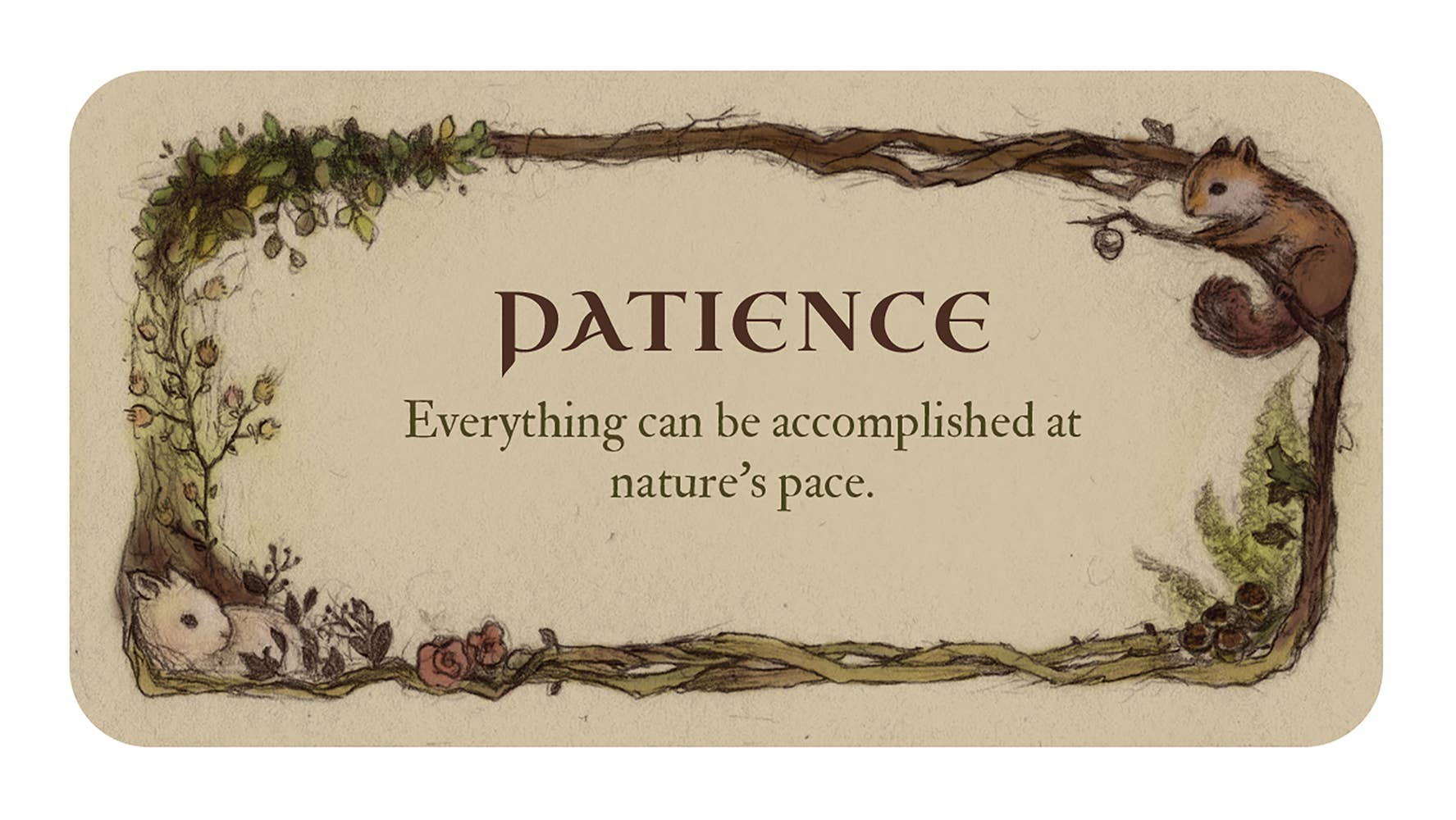 Whispering Woods Affirmation Cards fra U.S. Games Systems
