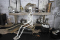 Skeletfigur 90 cm