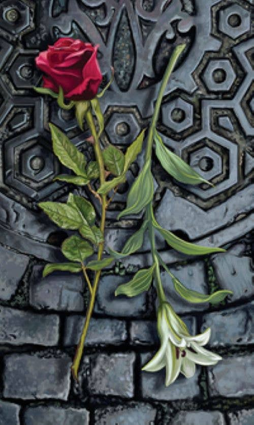 Vampyrernes Tarot Kit – Llewellyn