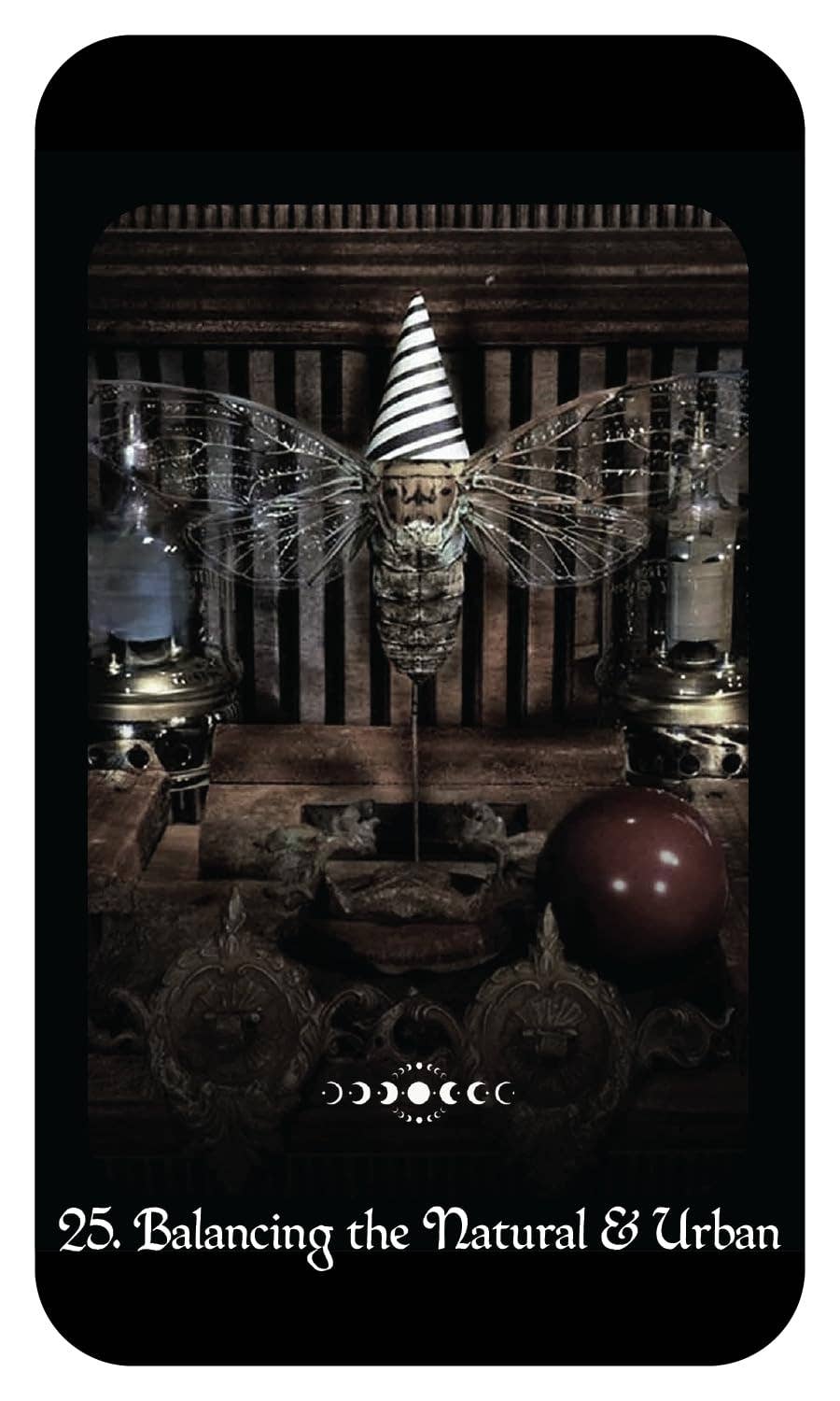 Gothic Witch's Oracle-kort – Raven Digitalis & John Santerineross