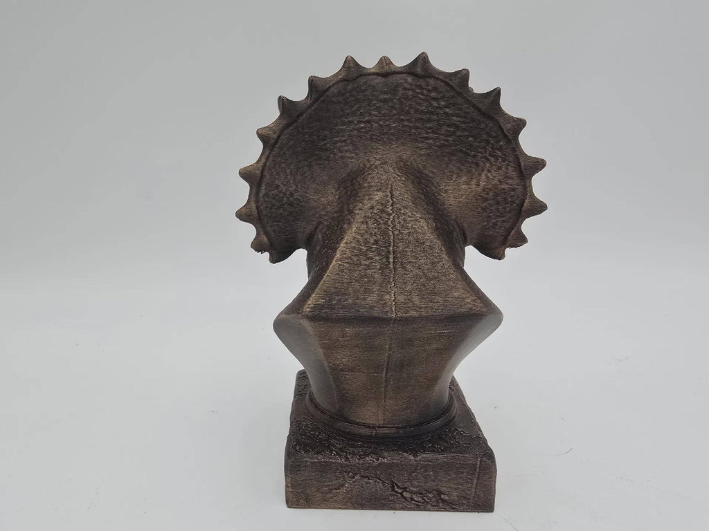 Triceratops buste