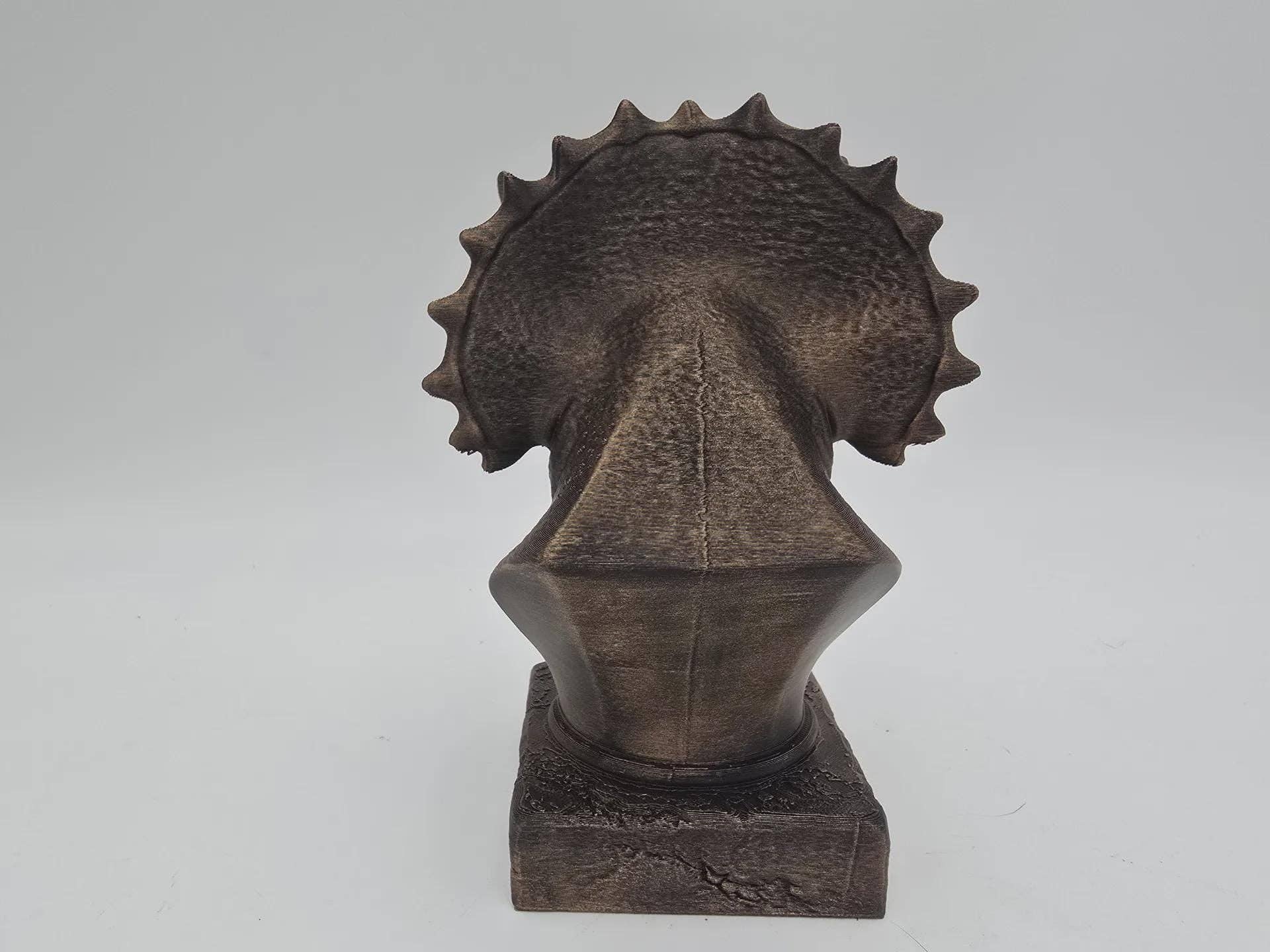 Triceratops buste