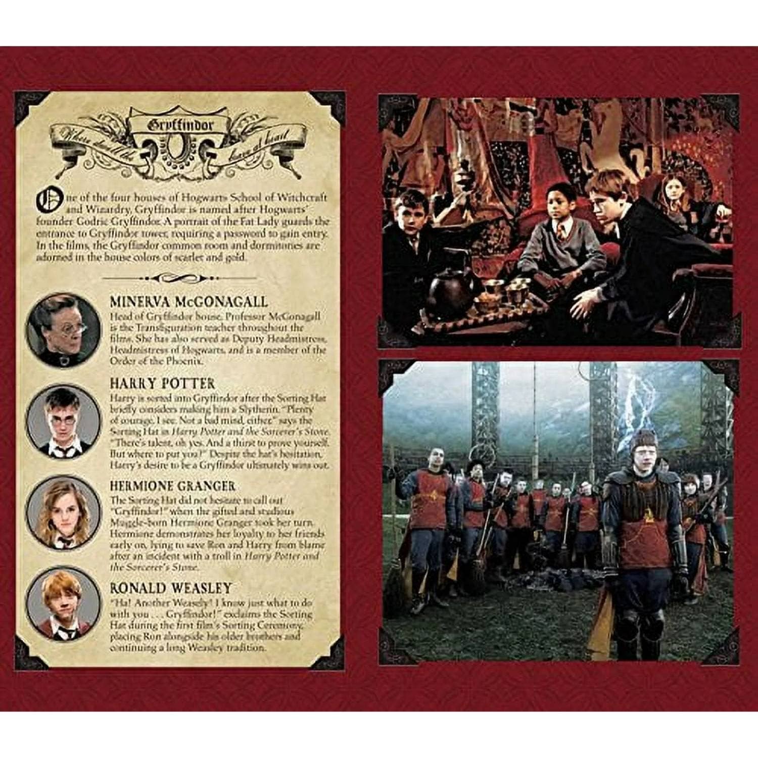 Harry Potter: Gryffindor Lommejournal