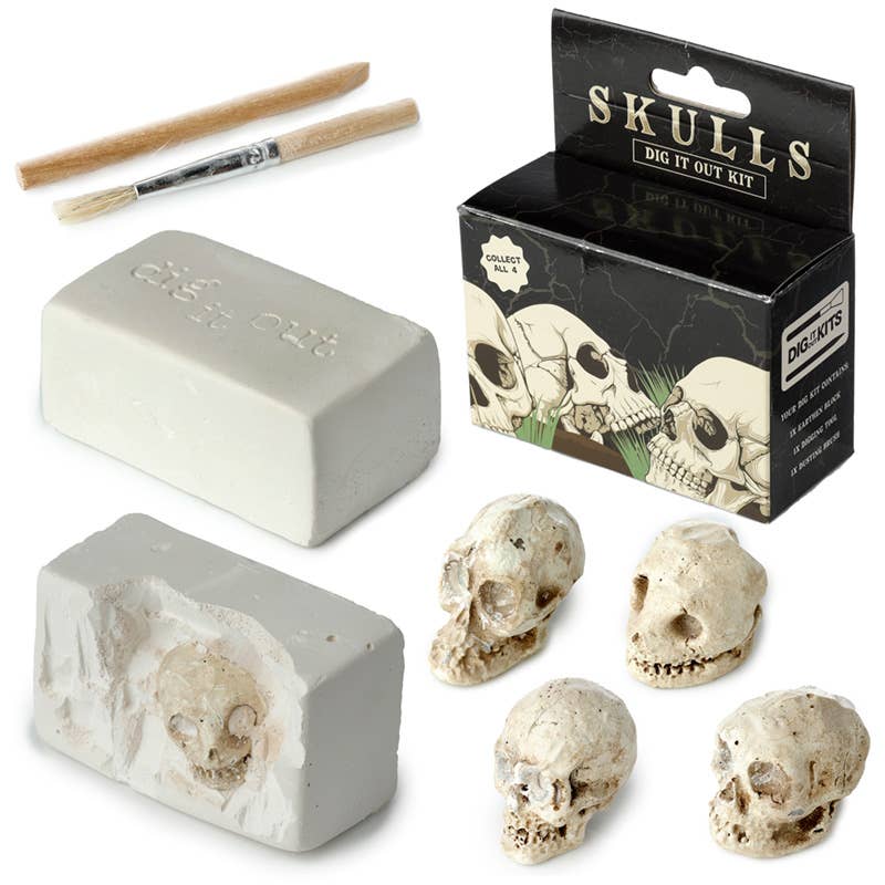 Kranie Udgravningssæt – Dig-A-Saurs – Puckator | Skulls&Bones